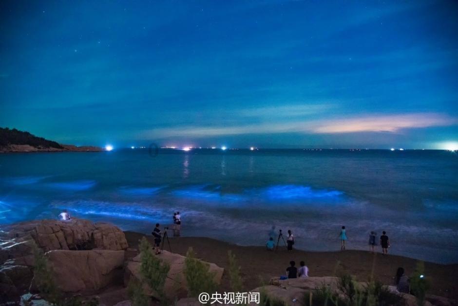 脱逃者：行尸走肉