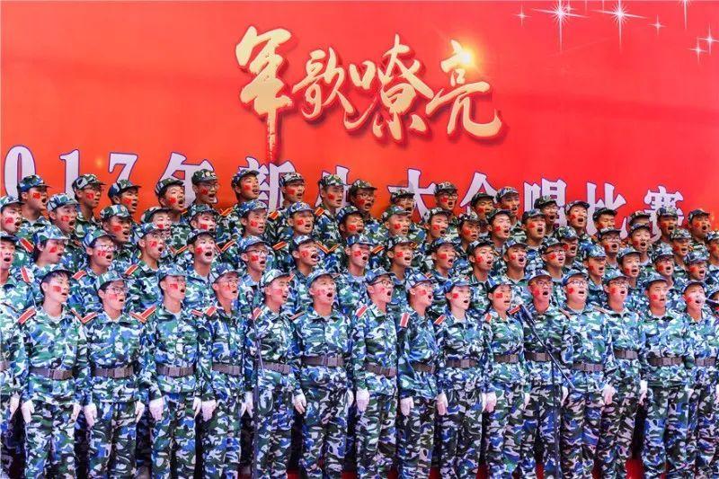 豆娃勇士2